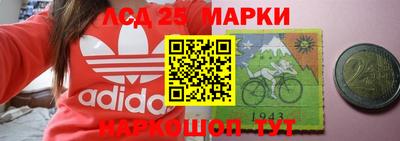 крисы Аргун