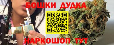крисы Аргун