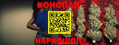 крисы Аргун
