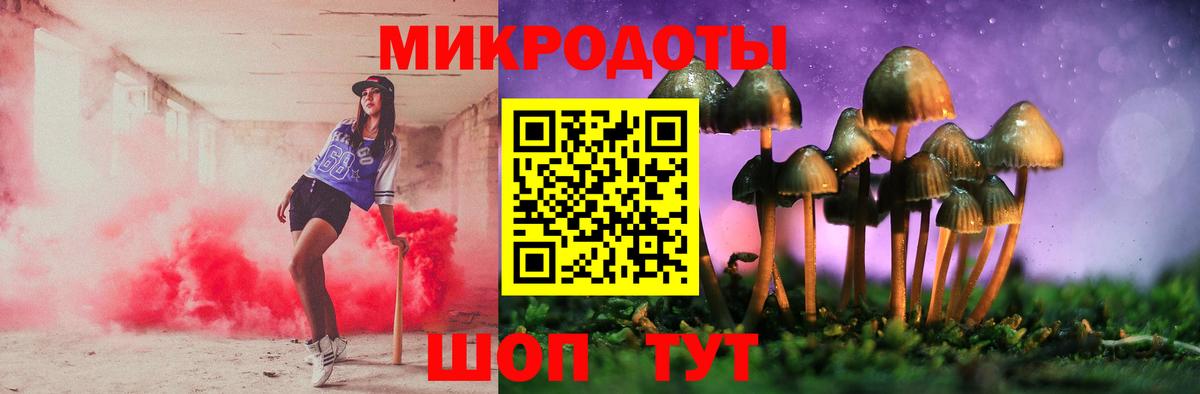 Большой Камень  Галлюциногенные грибы Magic Shrooms  Галлюциногенные грибы Psilocybe  Вход с VPN 